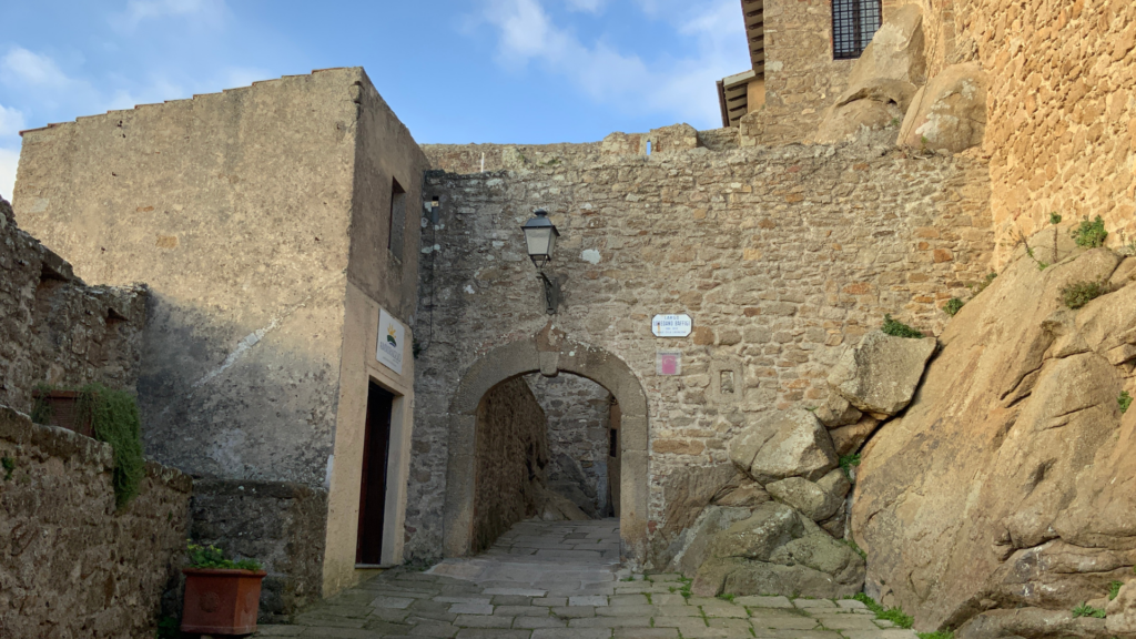 Particolare della Porta.